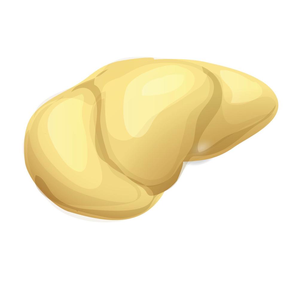 een deel durian icoon, tekenfilm stijl vector