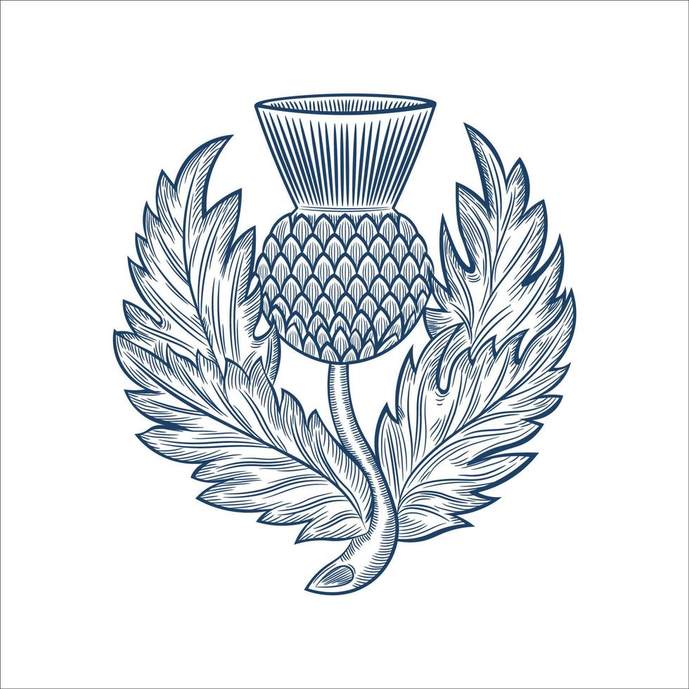 leger Schots distel embleem insigne ontwerp vector illustratie, in hand- getrokken stijl