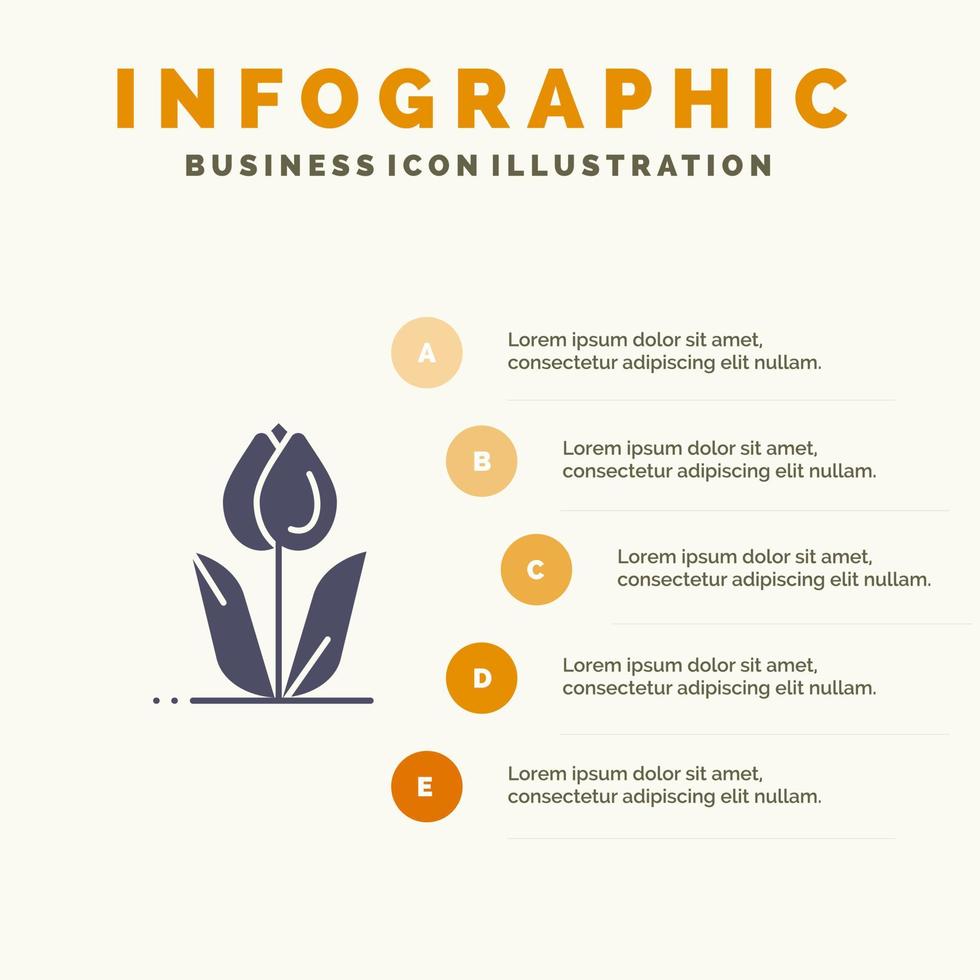 flora bloemen bloem natuur roos solide icoon infographics 5 stappen presentatie achtergrond vector