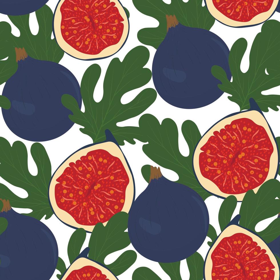 fig fruit Aan een Afdeling. vector illustratie. naadloos patroon. zomer behang, rijp, sappig, zoet vruchten.