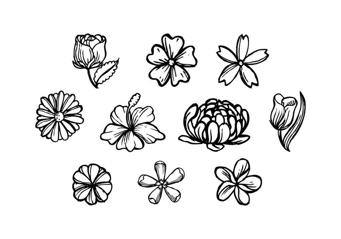 Gratis Bloemen Handgetekende Vector