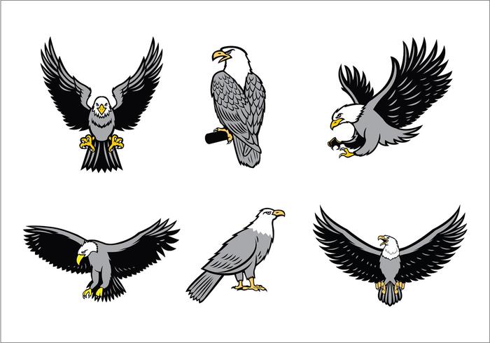 Eagles Mascotte Vector Set
