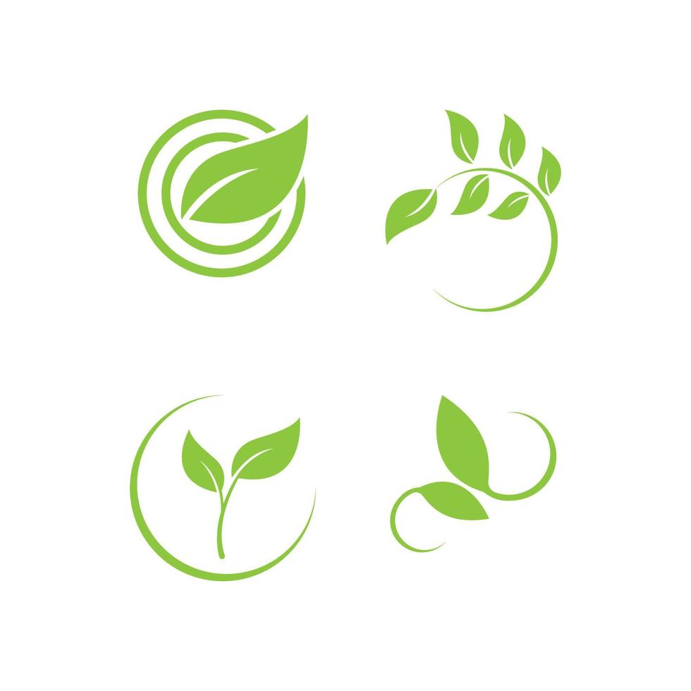 groen blad logo vector