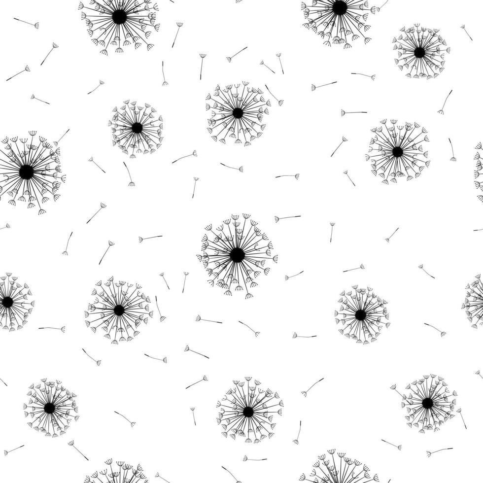 bloemen achtergrond naadloos patroon zwart en wit met paardebloem pluis en zaden vector