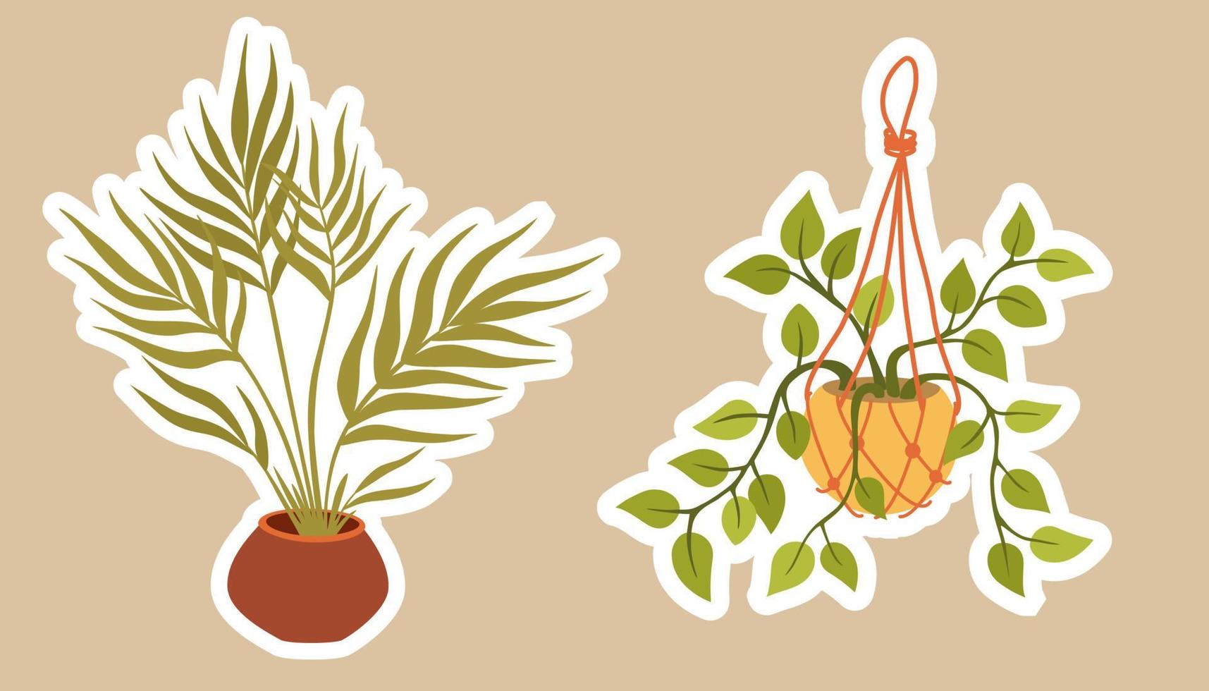 huis planten stickers. reeks van hygge tropisch patee sappig planten stickers. knus lagom stijl verzameling van planten in tekenfilm stijl. hand- trek vector bundel.