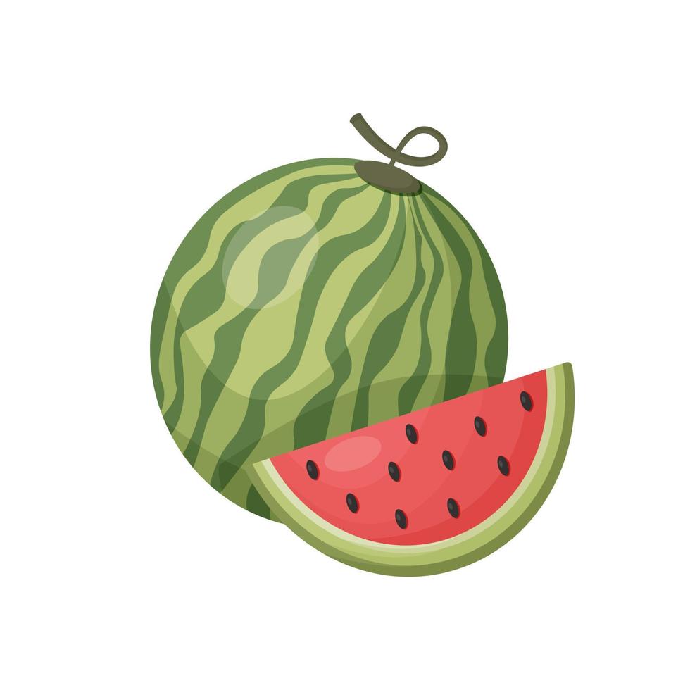 vers en sappig watermeloen met plak vector