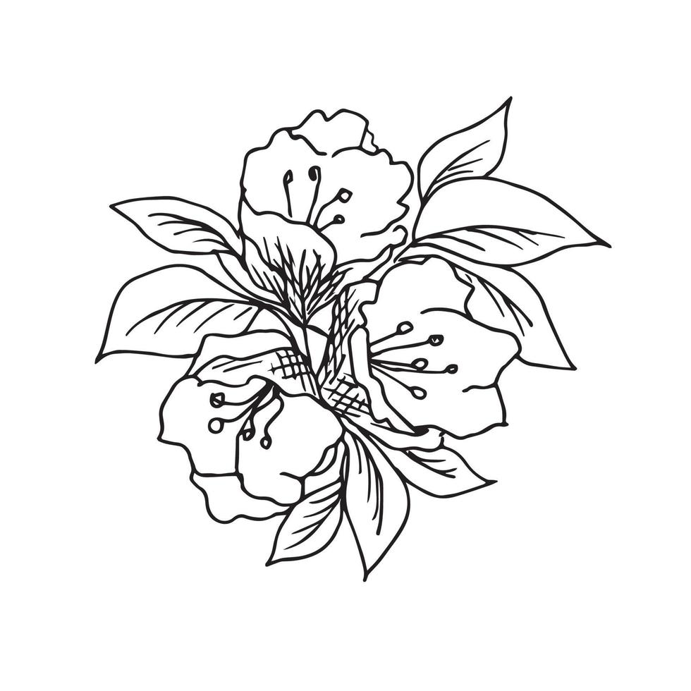 schetsen, vector tekening in zwart schets. een boeket van bloemen met bladeren, bloemblaadjes Aan wit achtergrond voor de ontwerp van voorjaar vakantie, kaarten, stickers, tatoeages.