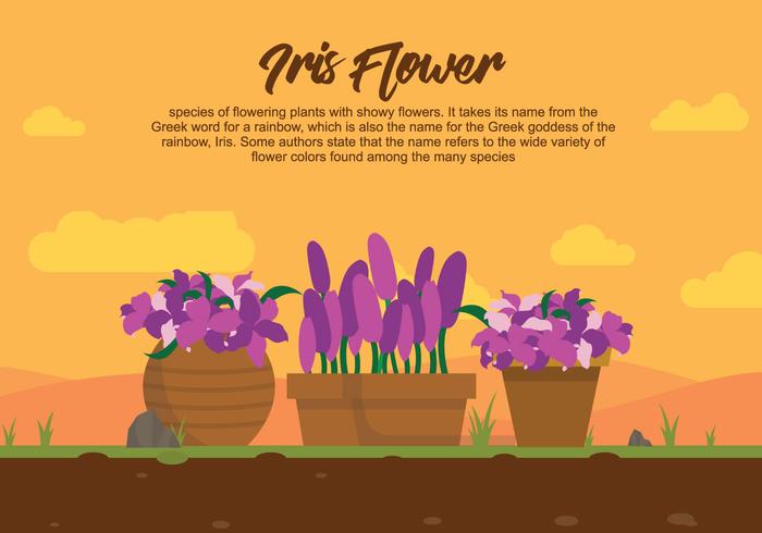 Iris bloem op pot illustartion vector