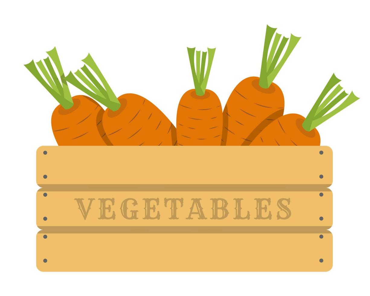 wortels in houten krat. bundel van wortels. wortels geïsoleerd vector illustratie. vector illustratie van groenten. wortels in een vlak stijl. vector tekening Aan de onderwerp van gezond voedsel. vol houder