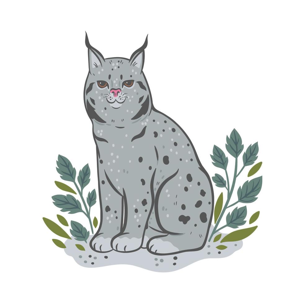 schattig Woud lynx geïsoleerd Aan wit achtergrond. vector grafiek.