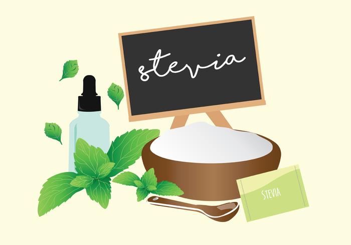 Stevia vector kunst