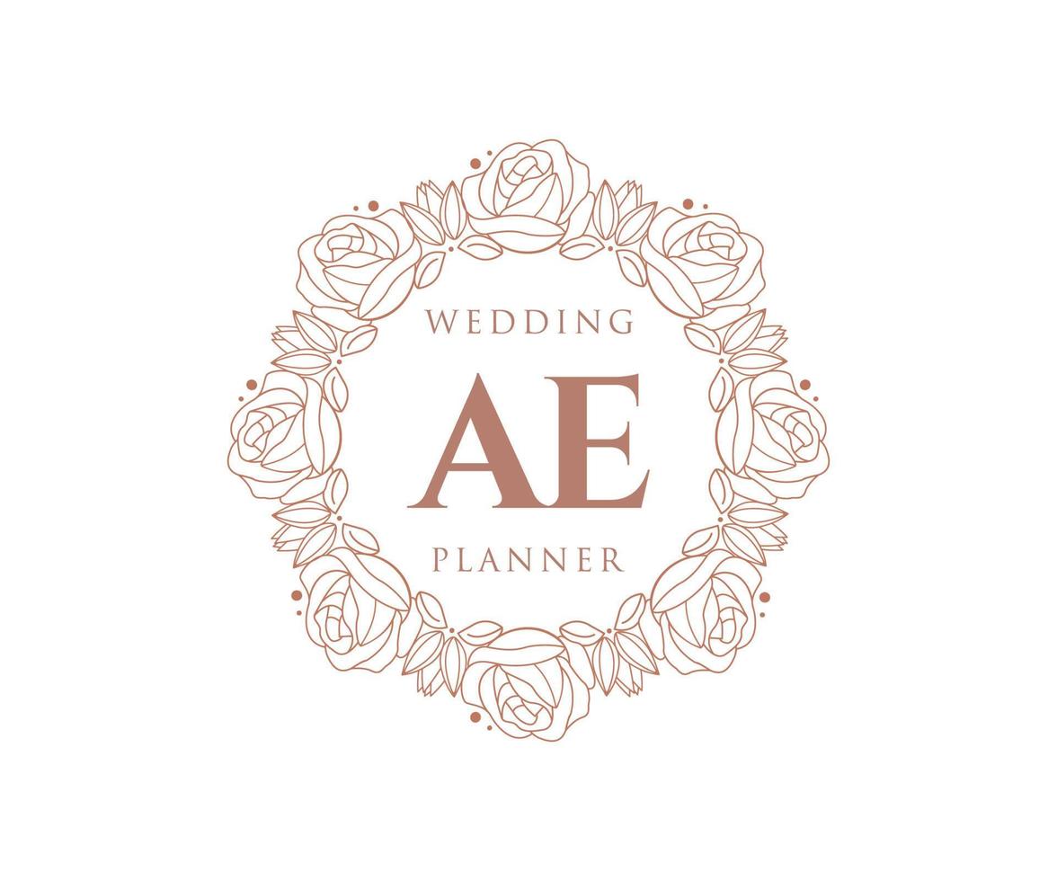 ae initialen brief bruiloft monogram logos verzameling, hand- getrokken modern minimalistisch en bloemen Sjablonen voor uitnodiging kaarten, opslaan de datum, elegant identiteit voor restaurant, boetiek, cafe in vector