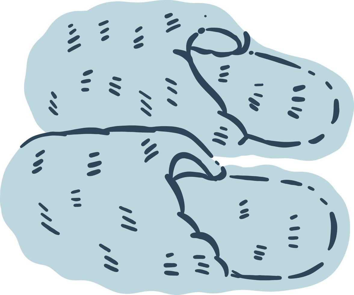 een paar van harig huis slippers illustratie vector