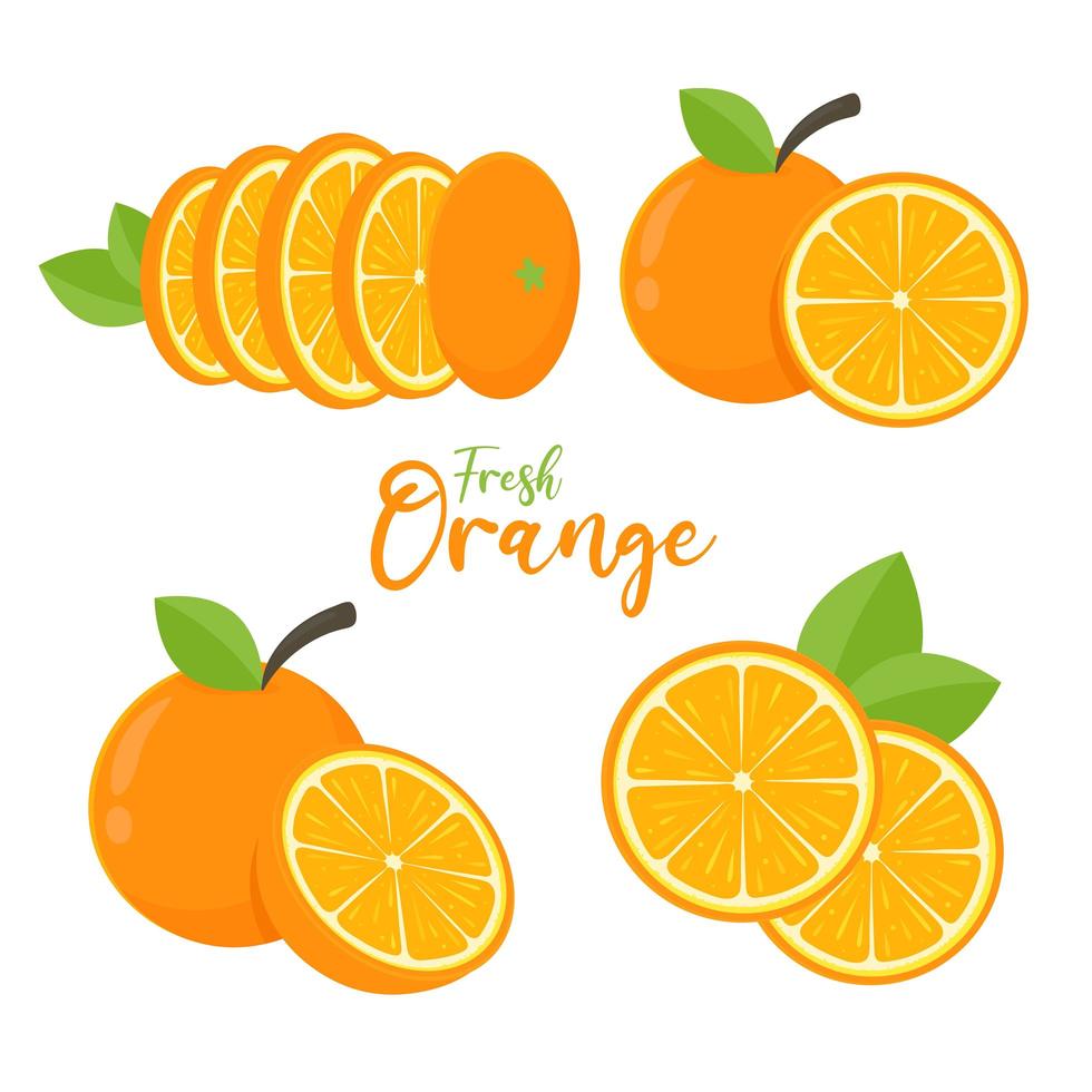 oranje fruit set vector