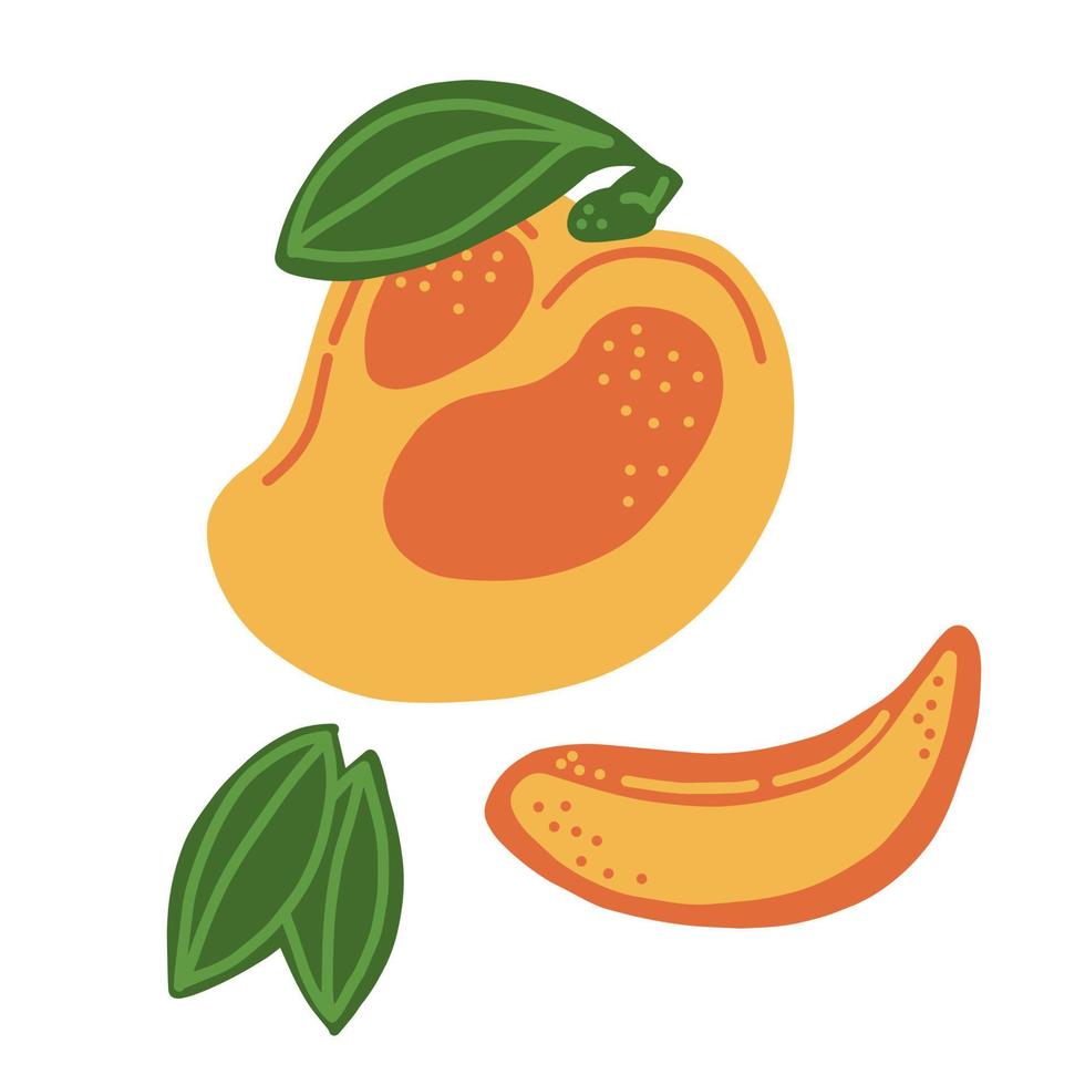 mango. geheel, deel, mango bladeren. mooi zo voor affiches, pakket, t-shirts, ansichtkaarten, boodschappen doen Tassen. vector hand- trek tekenfilm illustratie.