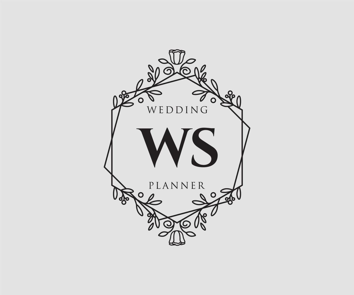 ws initialen brief bruiloft monogram logos verzameling, hand- getrokken modern minimalistisch en bloemen Sjablonen voor uitnodiging kaarten, opslaan de datum, elegant identiteit voor restaurant, boetiek, cafe in vector