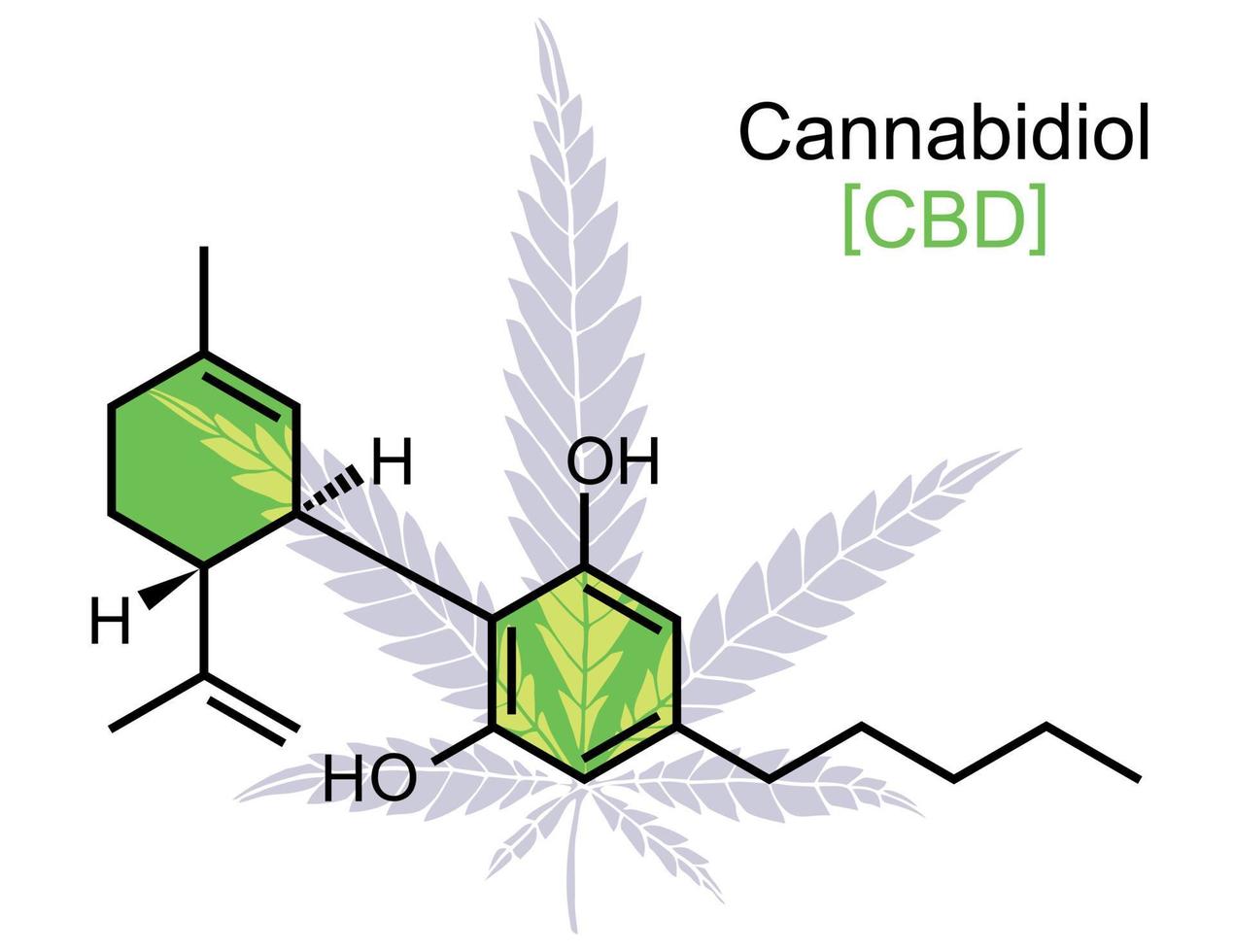 cbd molecuul Aan wit vector