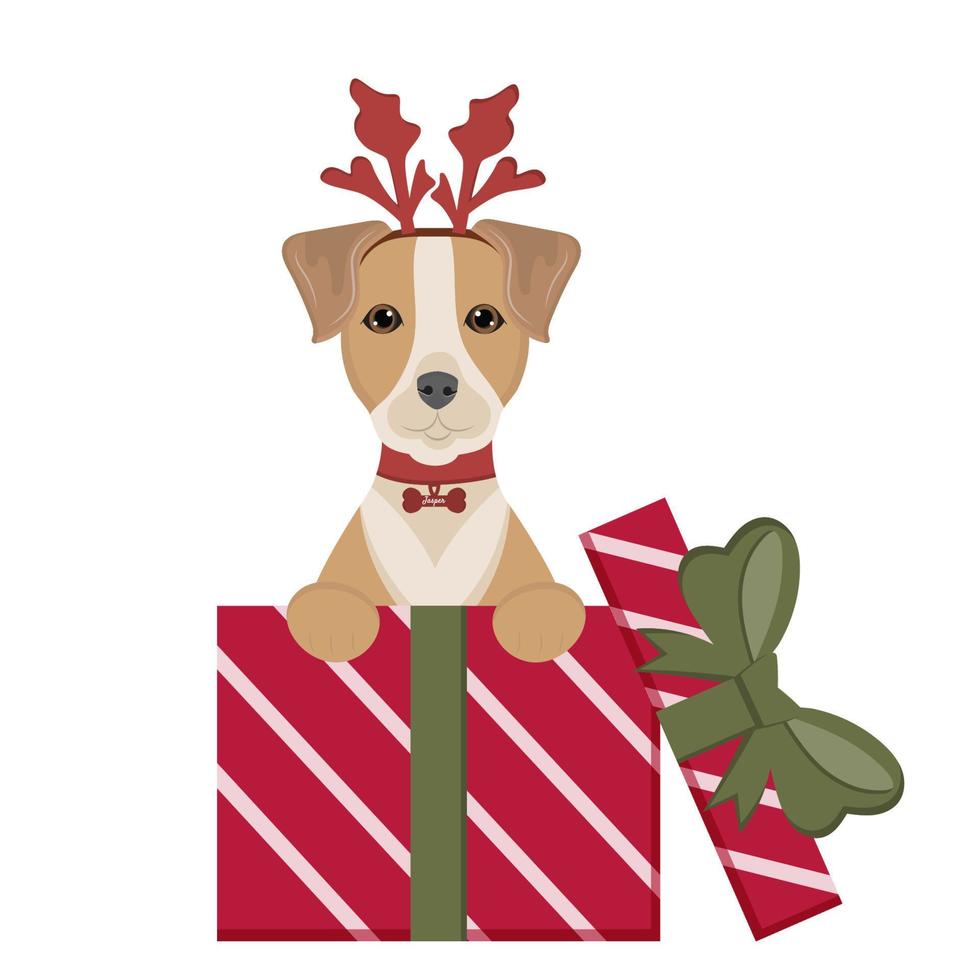 hond jack russel zit in geschenk dozen. gelukkig verjaardag kaart. schattig huisdieren voor felicitatie met verjaardag, nieuw jaar, kerstmis. illustratie voor hond geliefden, veterinair klinieken, huisdier winkels. vector