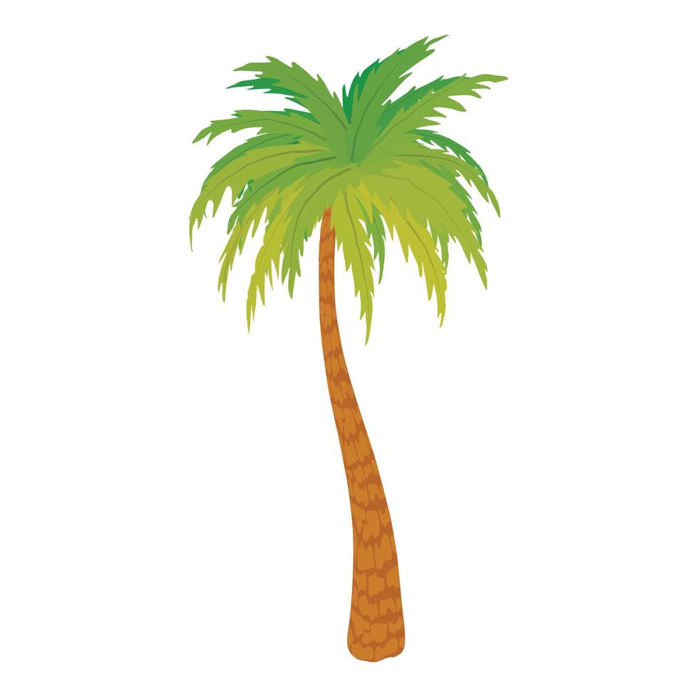 hoog palm boom icoon, tekenfilm stijl vector