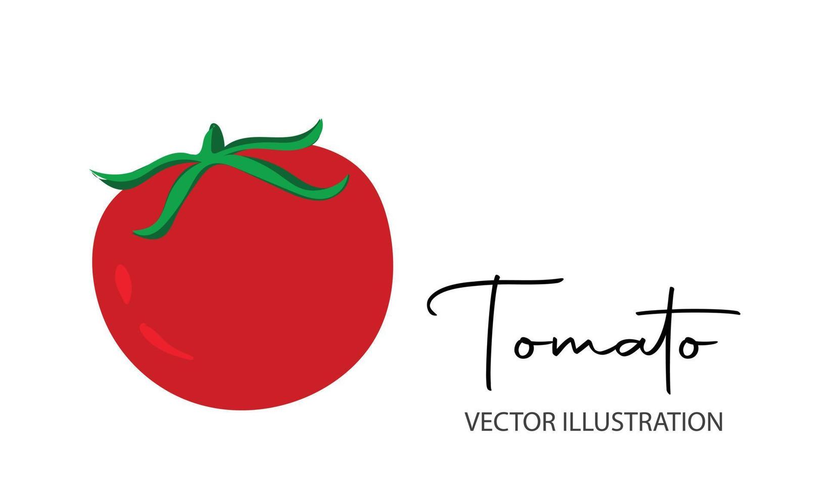 rood tomaat geïsoleerd single gemakkelijk tekenfilm illustratie. vector