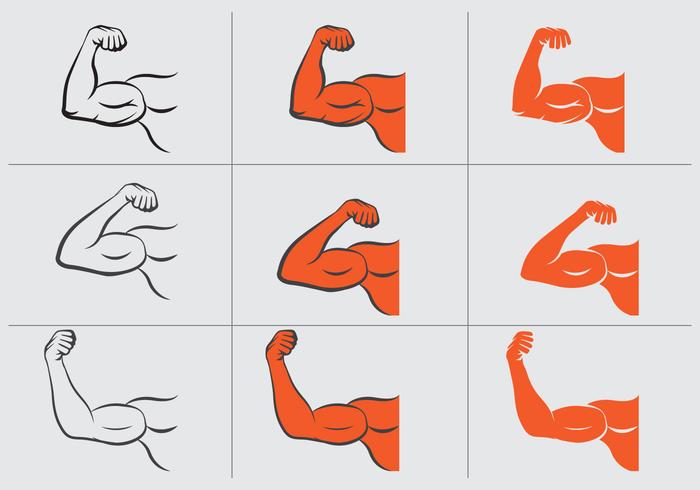 Flexing Hand Vector Set