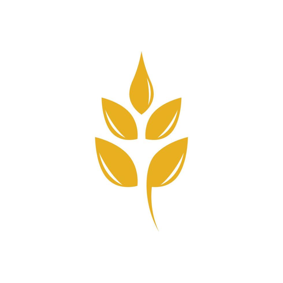landbouw tarwe logo afbeeldingen vector