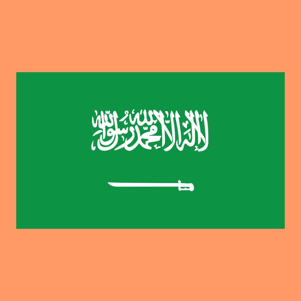 vector illustratie van de land vlag van saudi Arabië