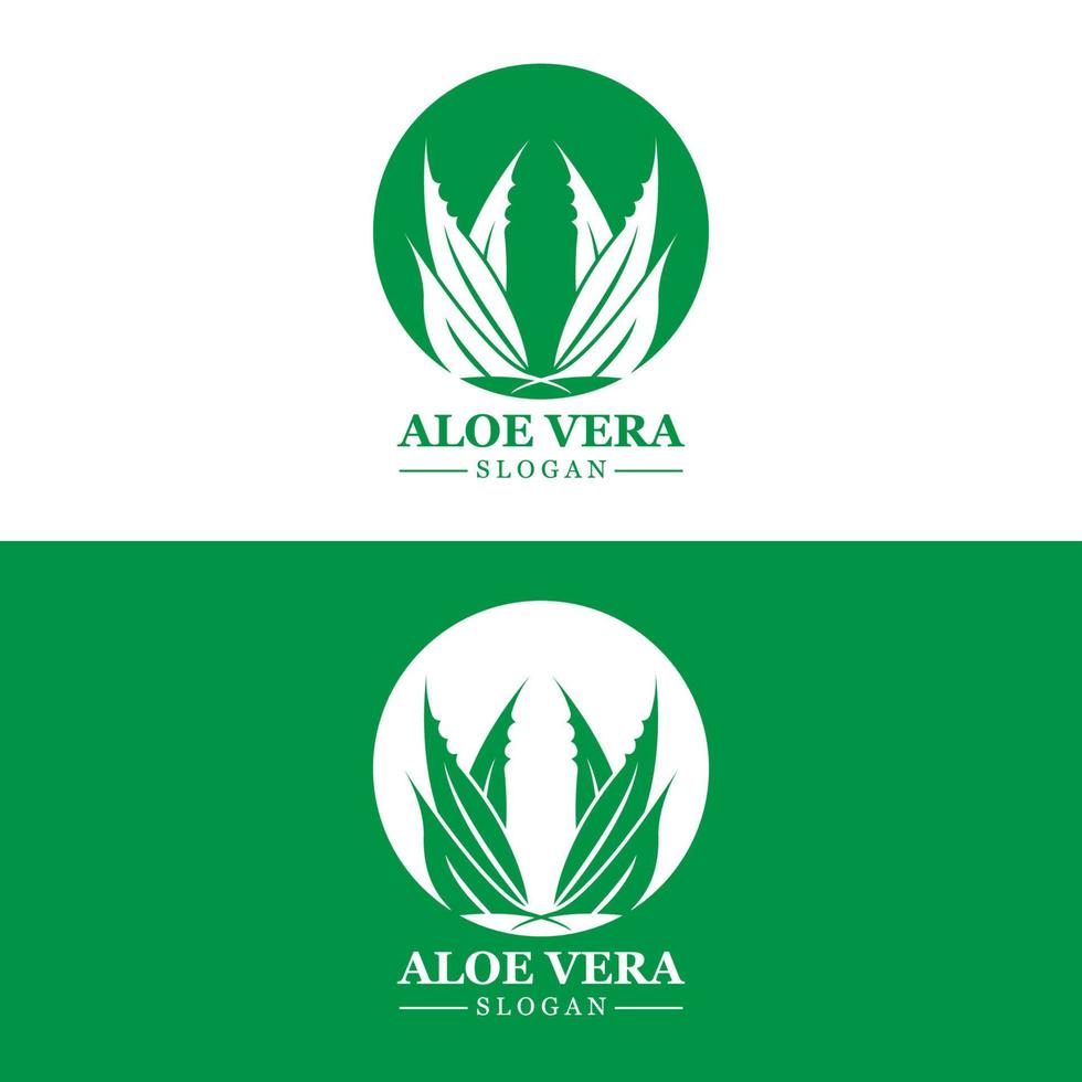 aloë vera logo, Gezondheid blad vector, ontwerp geschikt voor schoonheid salon, biologisch recyclen, huid Gezondheid blad vector