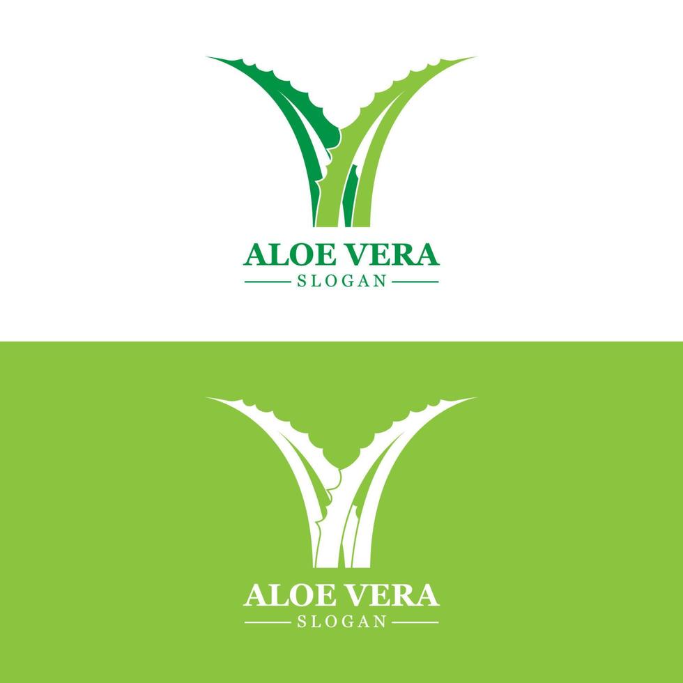 aloë vera logo, Gezondheid blad vector, ontwerp geschikt voor schoonheid salon, biologisch recyclen, huid Gezondheid blad vector