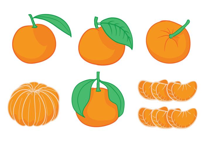 Clementine vector set