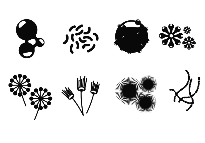 Mould Icons Vector