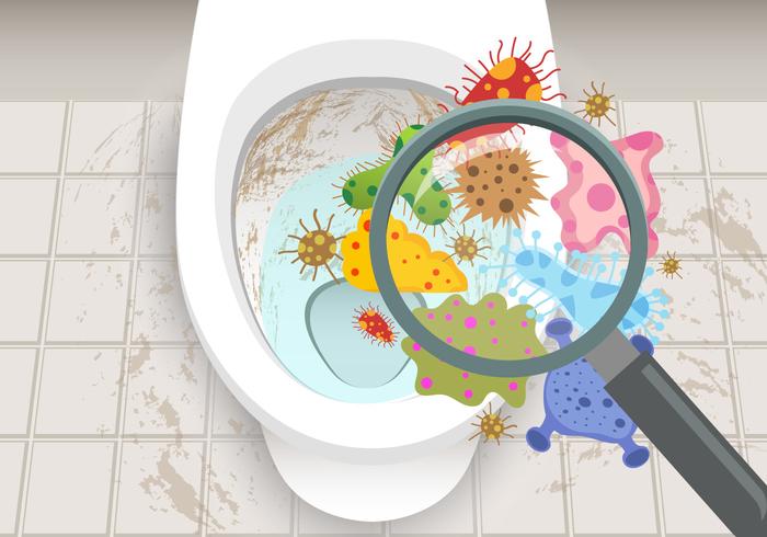 Mallen en bacteriën in het toilet vector