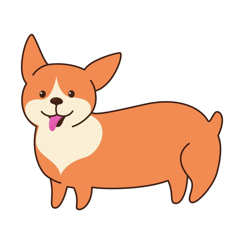 schattige corgi-hond vector