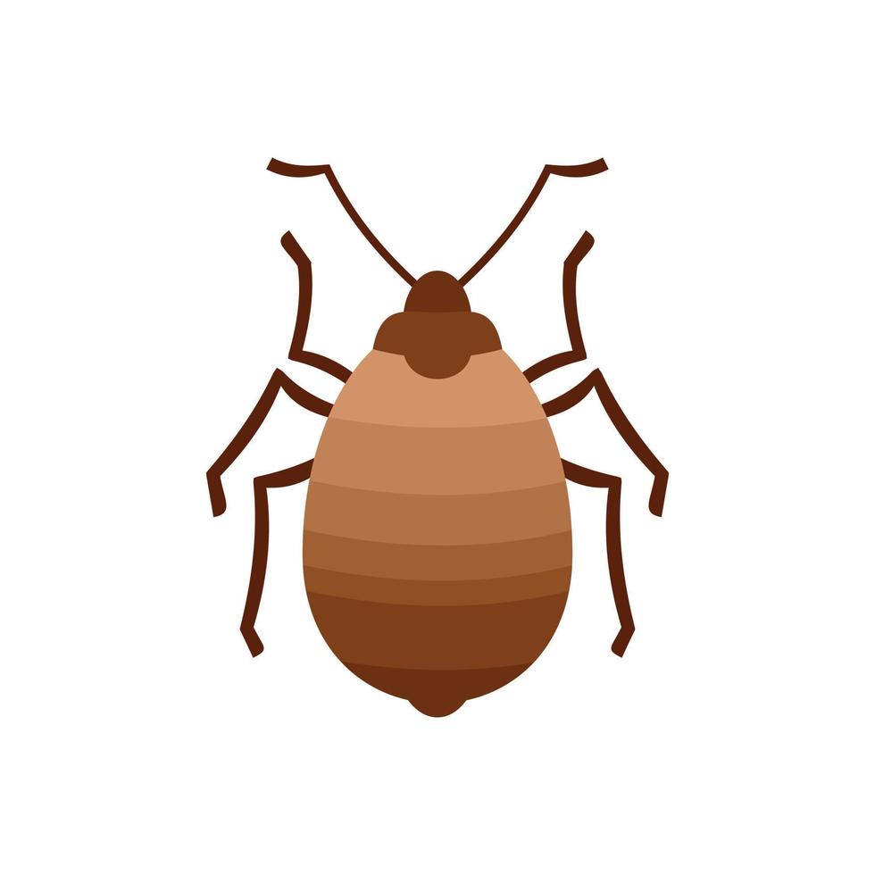 kever insect icoon vlak geïsoleerd vector