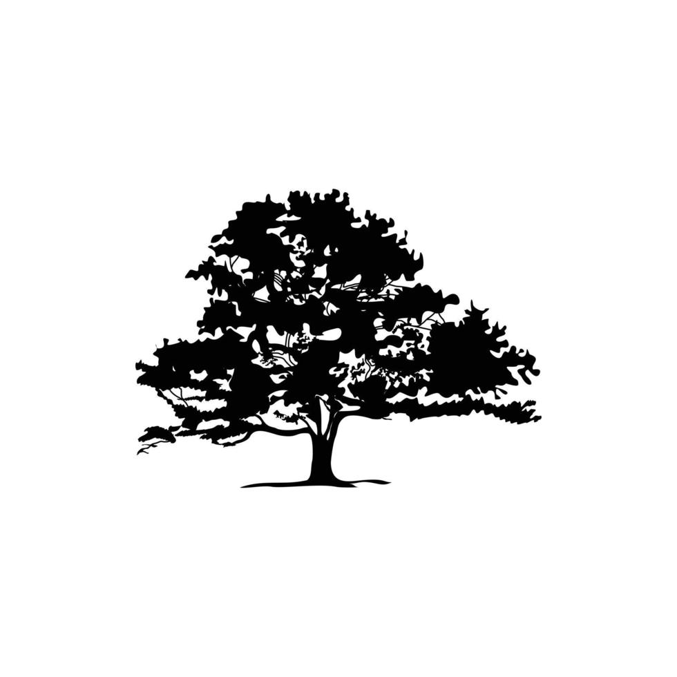 eik boom silhouet logo ontwerp illustratie vector wijnoogst