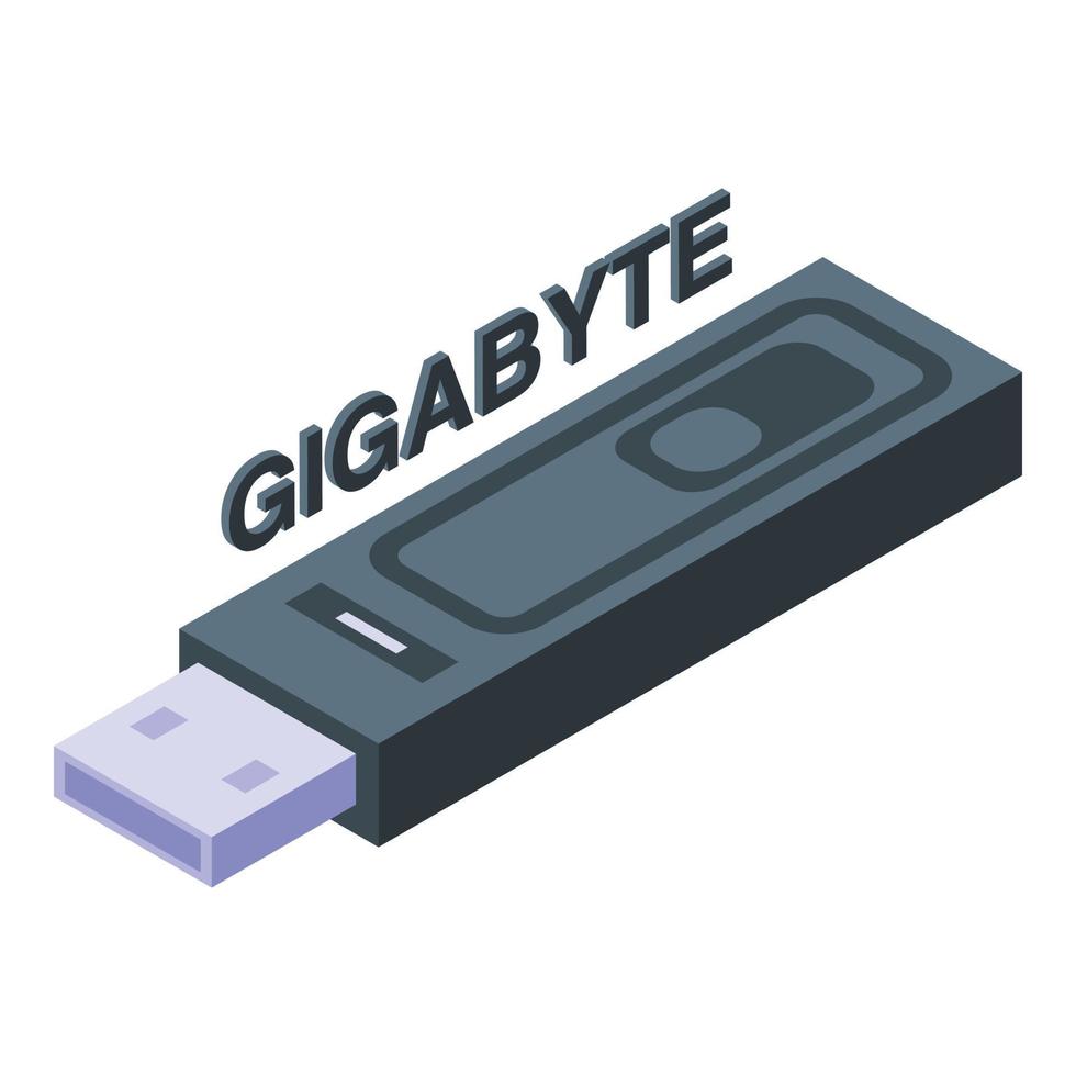 gigabyte USB flash icoon isometrische vector. sd gegevens vector