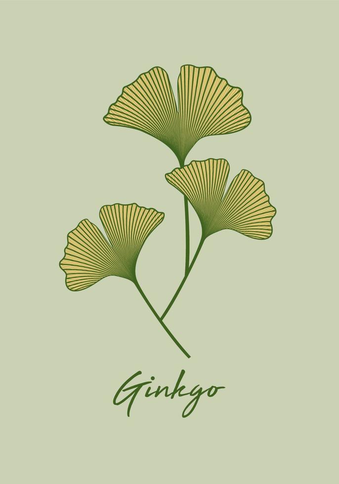 reeks ginkgo biloba blad geïsoleerd Aan groen achtergrond. hand- getrokken bladeren. logo ontwerp vector botanisch illustratie