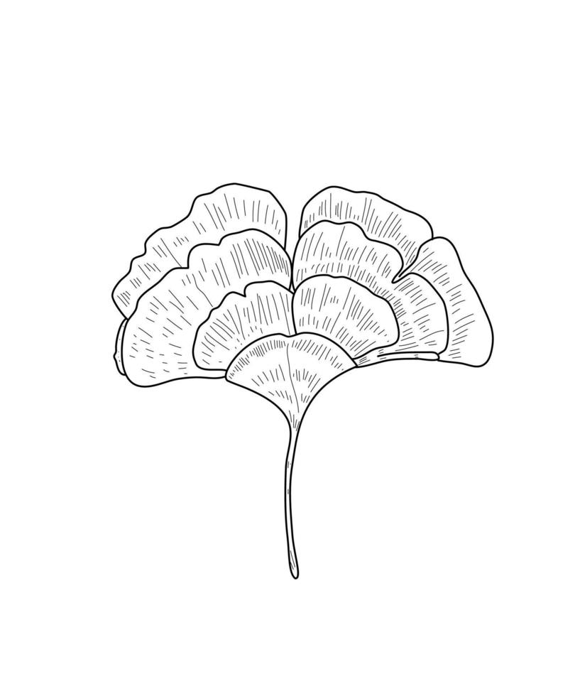 hand getekend bladeren illustratie voor sociaal media natuur achtergrond afzet vector