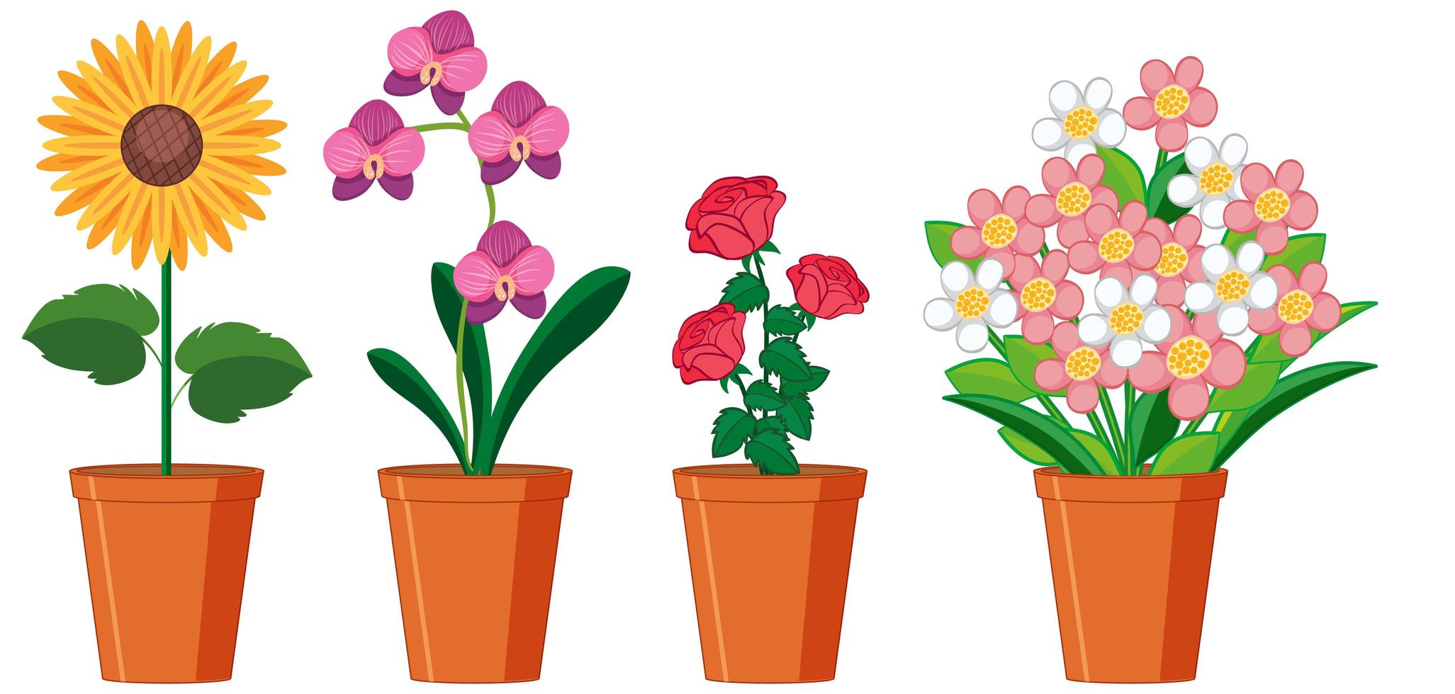 mooie bloemen in potten op witte achtergrond 1500295 - Download Free Vectors, Vector Bestanden, Ontwerpen