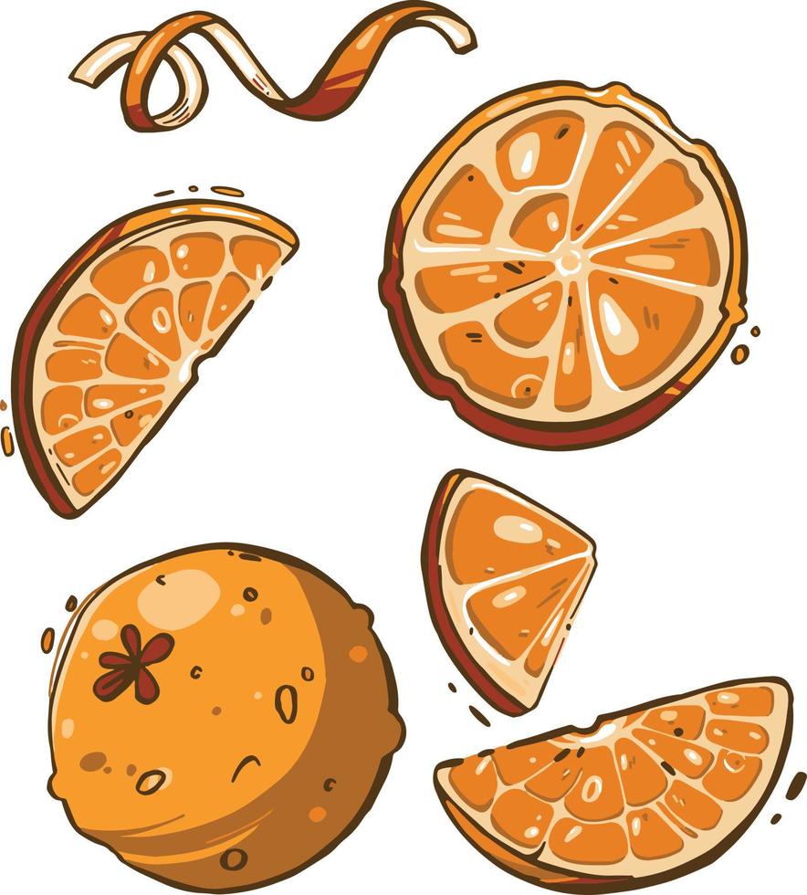 reeks van vers geheel, voor de helft, besnoeiing plak en bladeren oranje fruit geïsoleerd vector