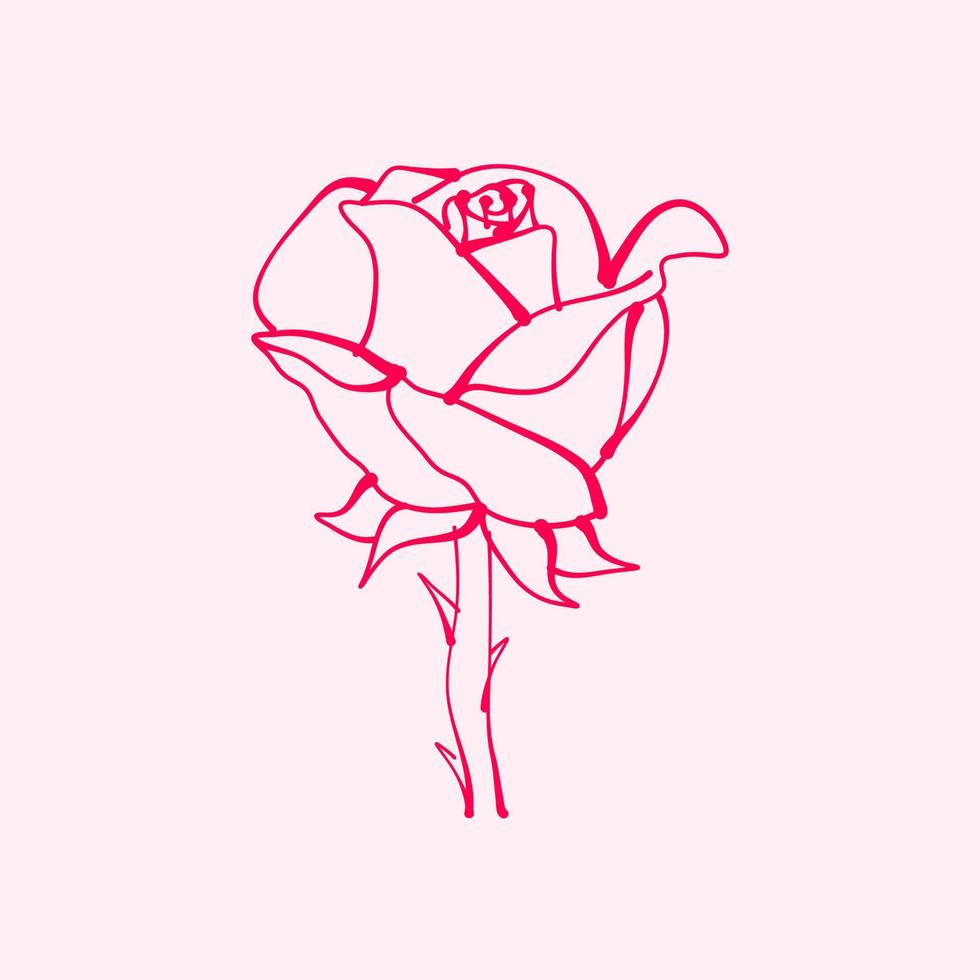 hand- getrokken roos. tekening van roos bloem. roos bloem illustratie in hand- getrokken stijl. schattig bloem. roze schets. vector