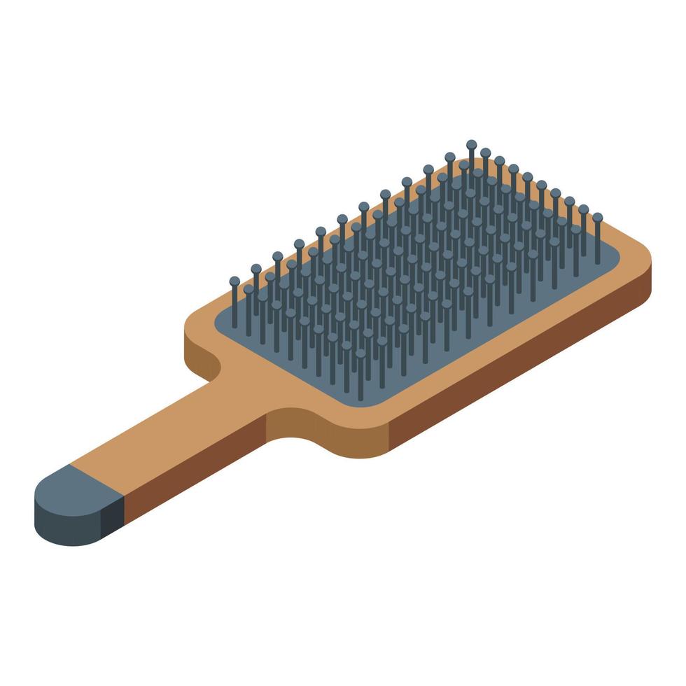 haar- borstel icoon isometrische vector. schoonheid salon vector