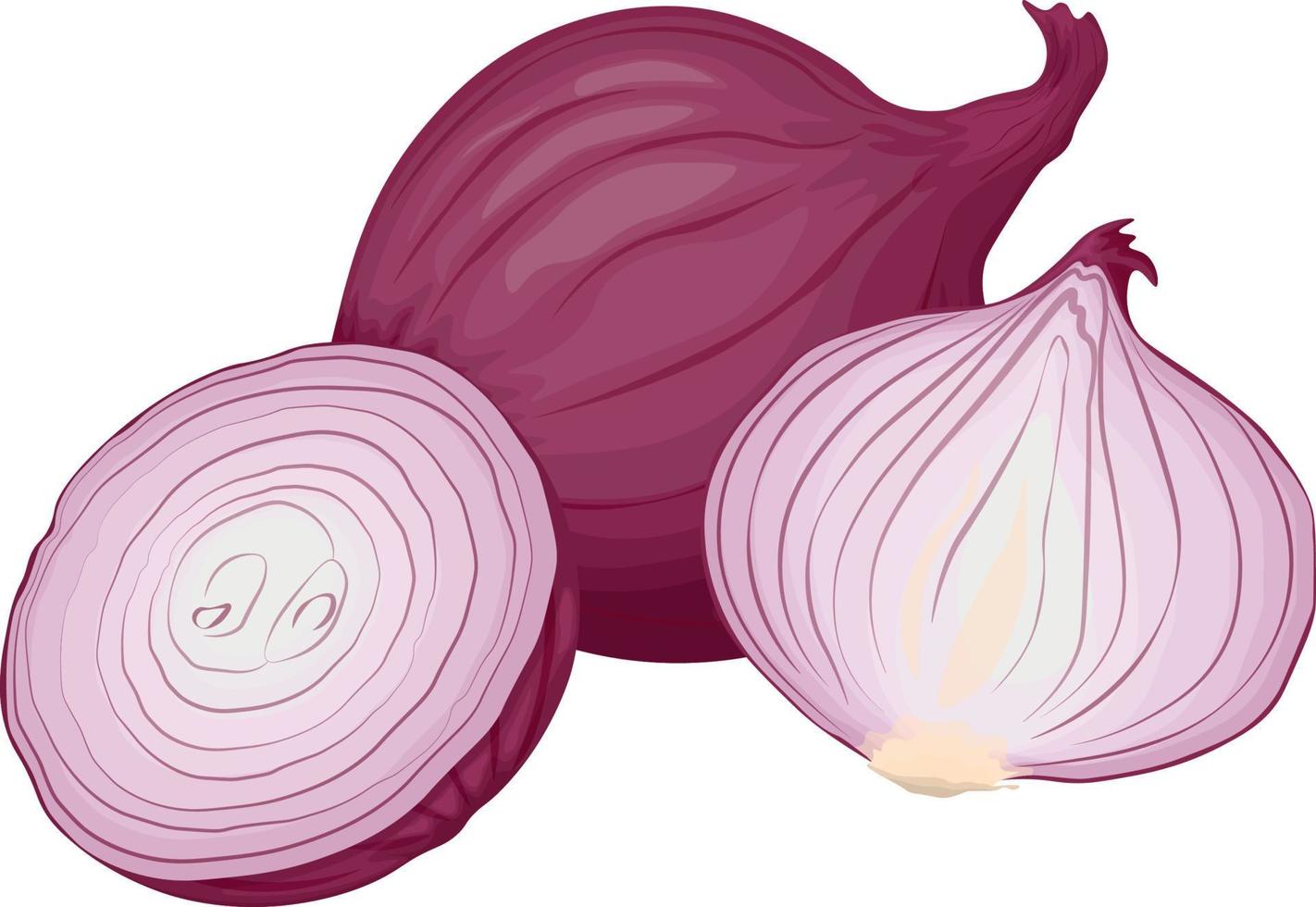 ongeschild hoofd van rood ui. veganistisch, vegetarisch voedsel. een ingrediënt voor koken.bolvormig rood groente.a natuurlijk genezing remedie. vector illustratie van een boog gemarkeerd Aan een wit achtergrond