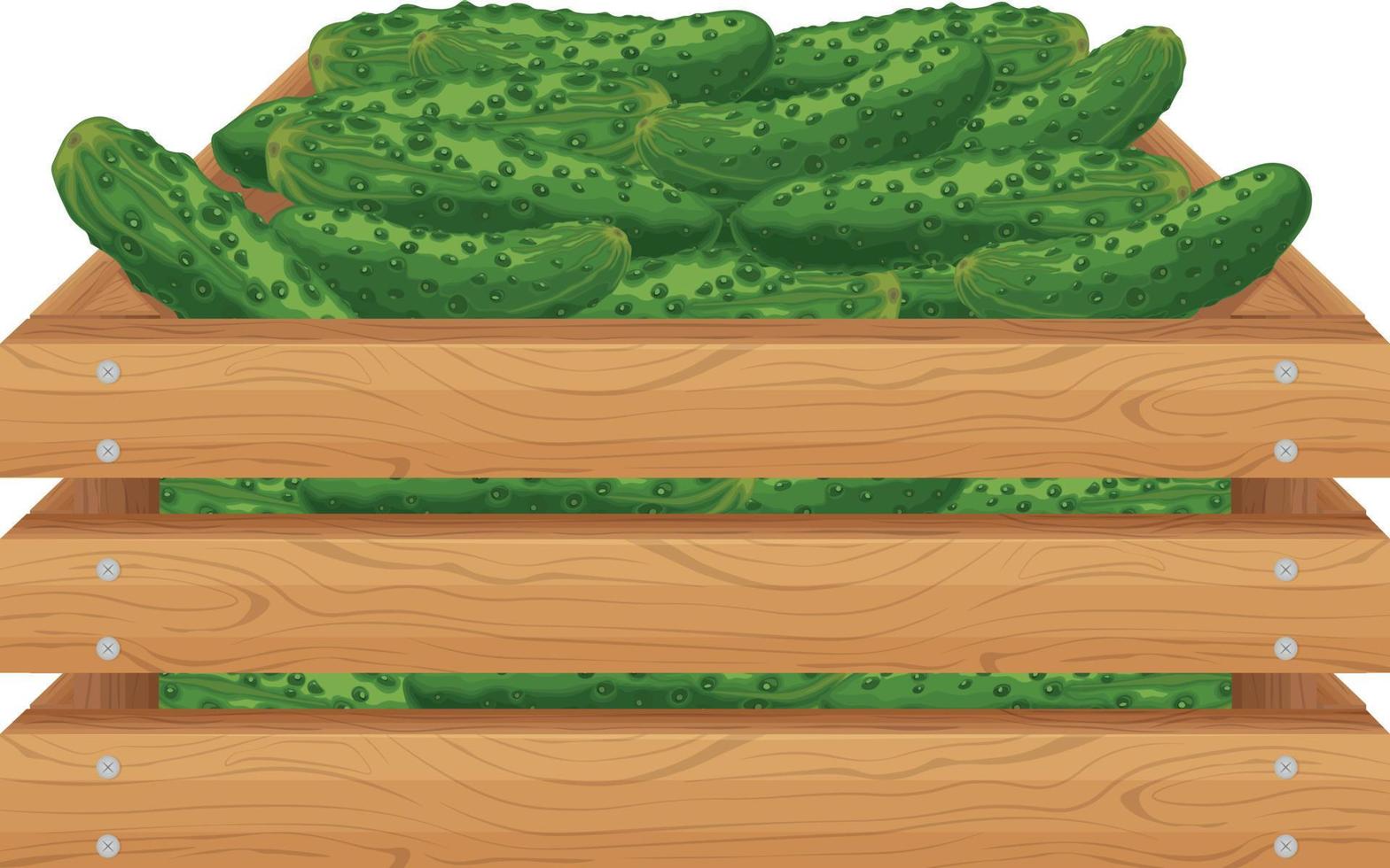 een doos van komkommers. rijp komkommers van de tuin in een houten doos. biologisch producten. boerderij producten, vector illustratie