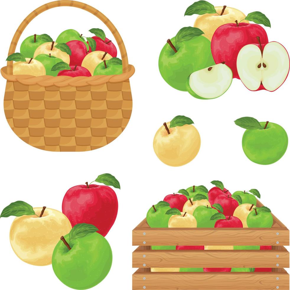 appels. reeks met appels van rood, groen en geel kleuren. appels in een houten doos en een rieten mand. verzameling van appels. vector illustratie