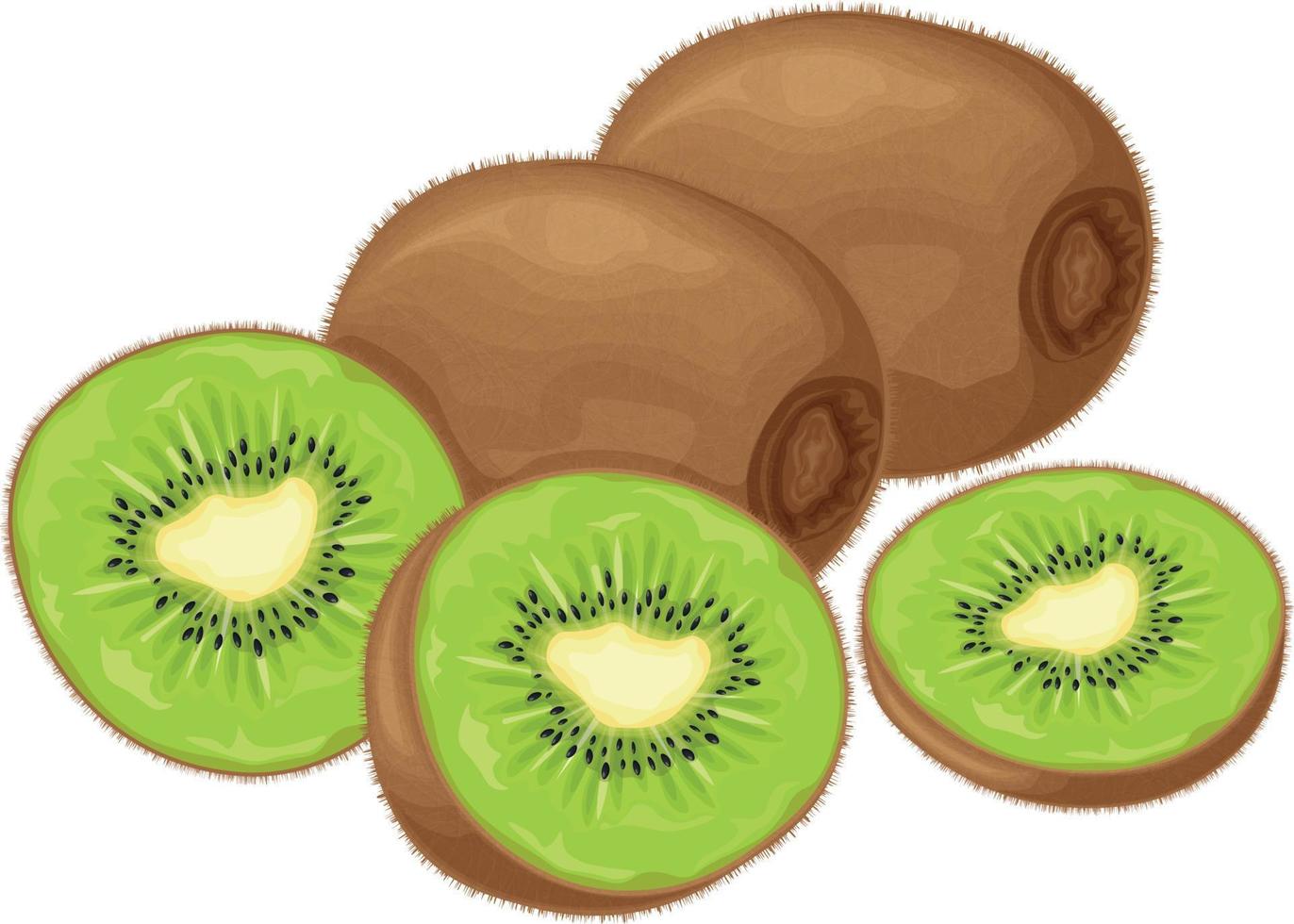 kiwi fruit. rijp kiwi. beeld van een rijp kiwi fruit. vitamine fruit. biologisch vegetarisch producten. vector illustratie geïsoleerd Aan een wit achtergrond