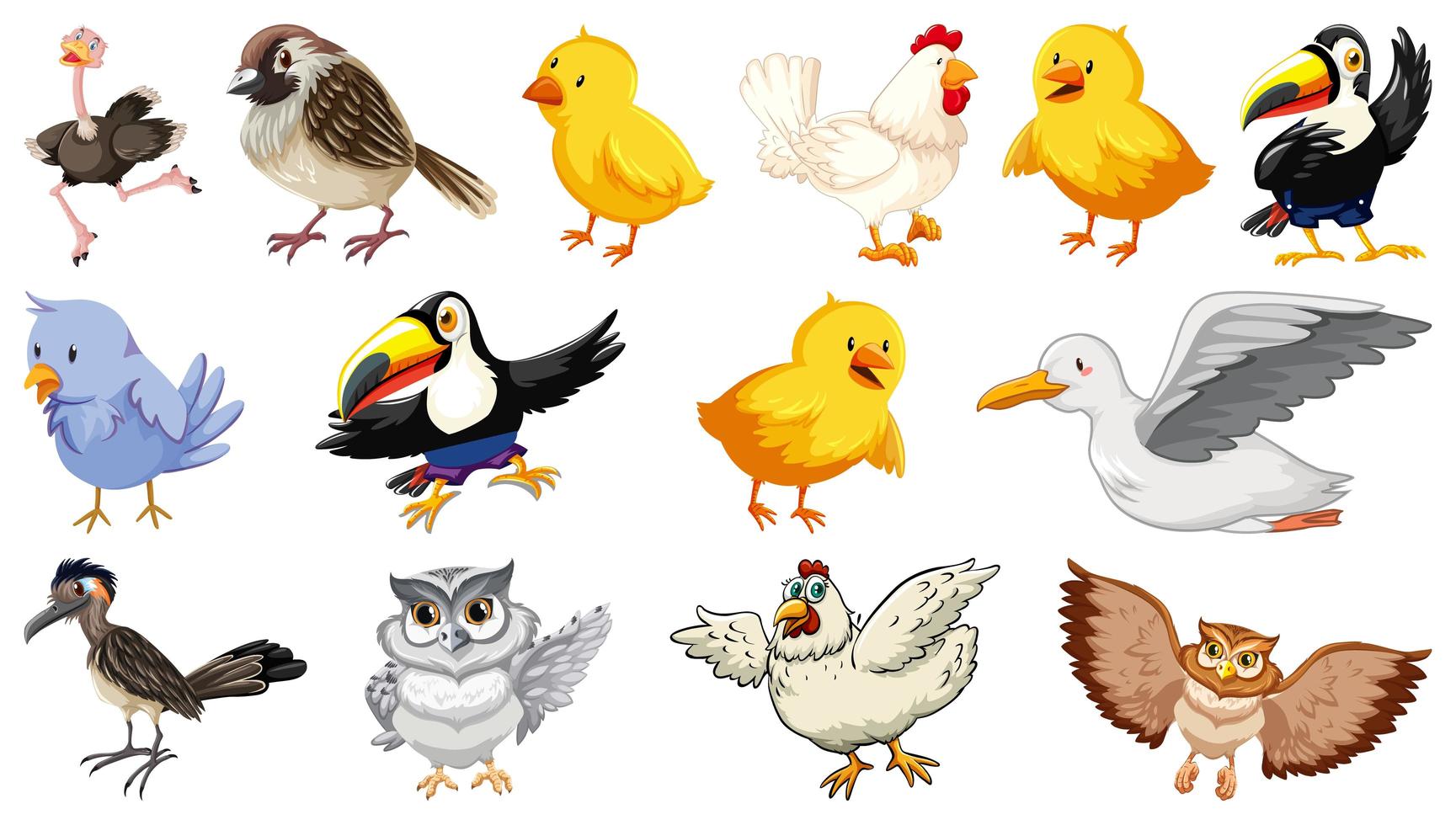 set van verschillende vogels cartoon stijl geïsoleerd op een witte achtergrond vector