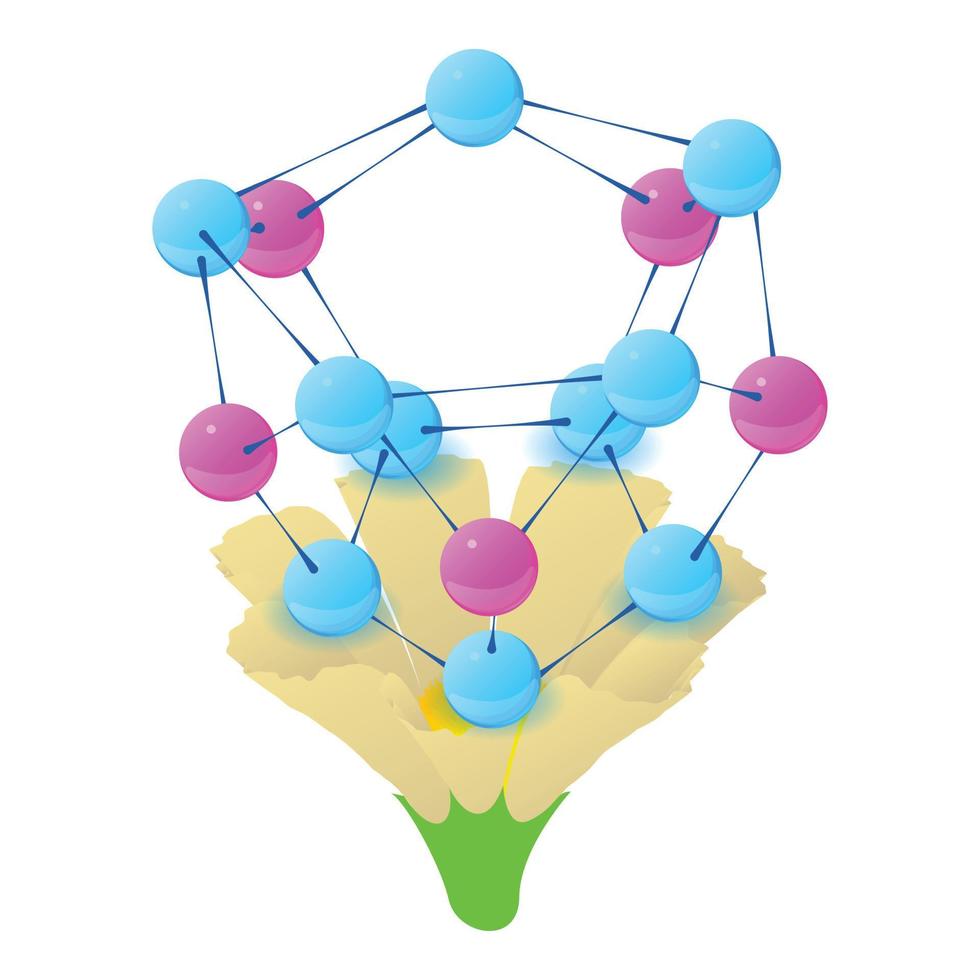 primula bloem icoon isometrische vector. bloeide wit bloem veelkleurig molecuul vector