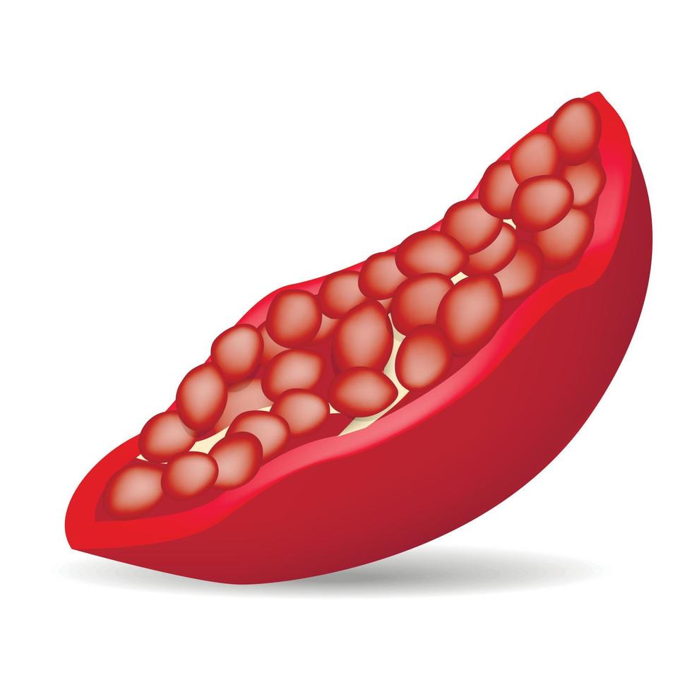 stuk van granaatappel icoon, realistisch stijl vector
