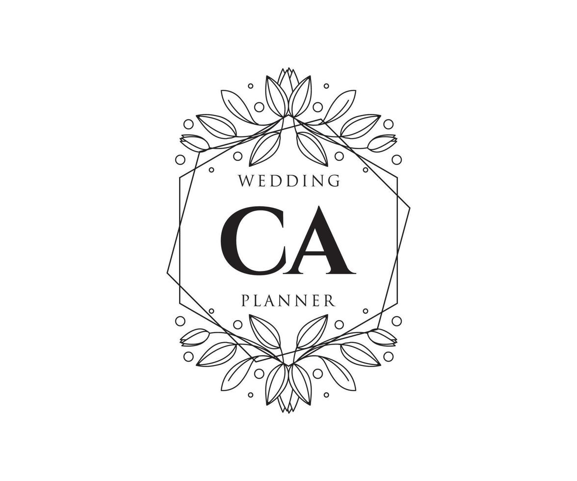 ca initialen brief bruiloft monogram logos verzameling, hand- getrokken modern minimalistisch en bloemen Sjablonen voor uitnodiging kaarten, opslaan de datum, elegant identiteit voor restaurant, boetiek, cafe in vector